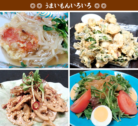 �����܂����񂢂낢��