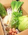 秋田の農家から新鮮・美味な野菜や食材を直接仕入れています。